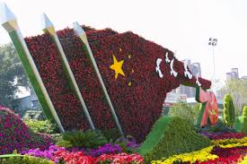 2026世界杯官网 丹阳园林绿化草坪批发市场